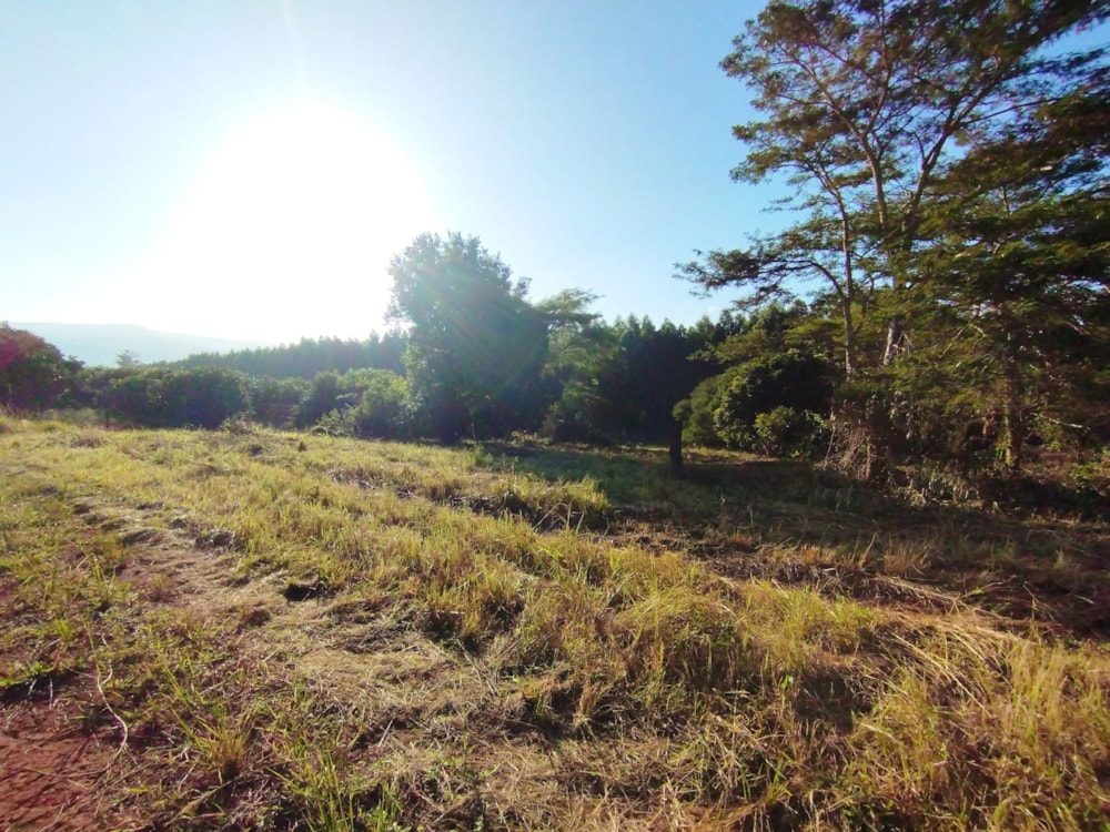 Vacant land for sale in Doornhoek - 1TA1635099 Vacant land for sale in Doornhoek - 1TA1635099