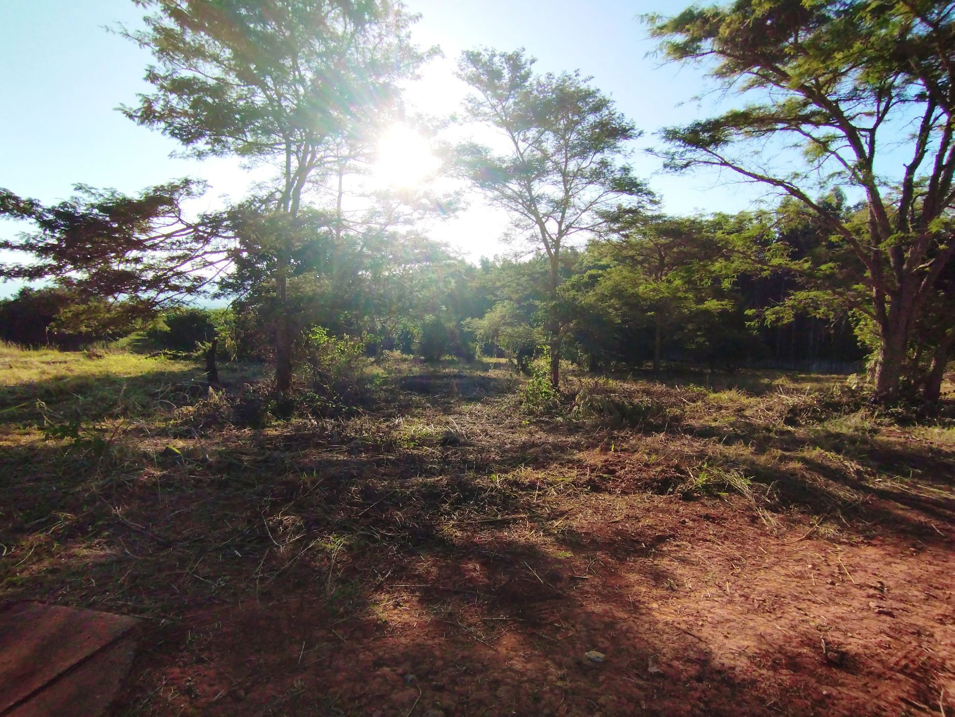 Vacant land for sale in Doornhoek - 1TA1635099