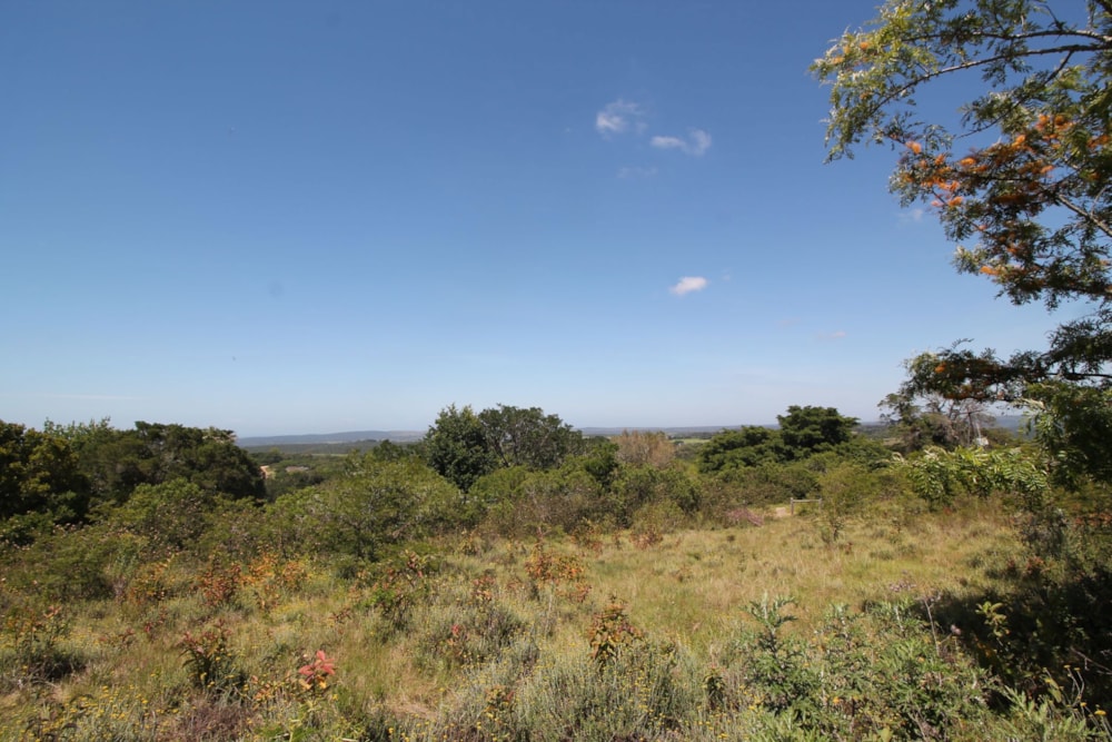 Vacant land for sale in Bathurst - 1PF1635370 Vacant land for sale in Bathurst - 1PF1635370