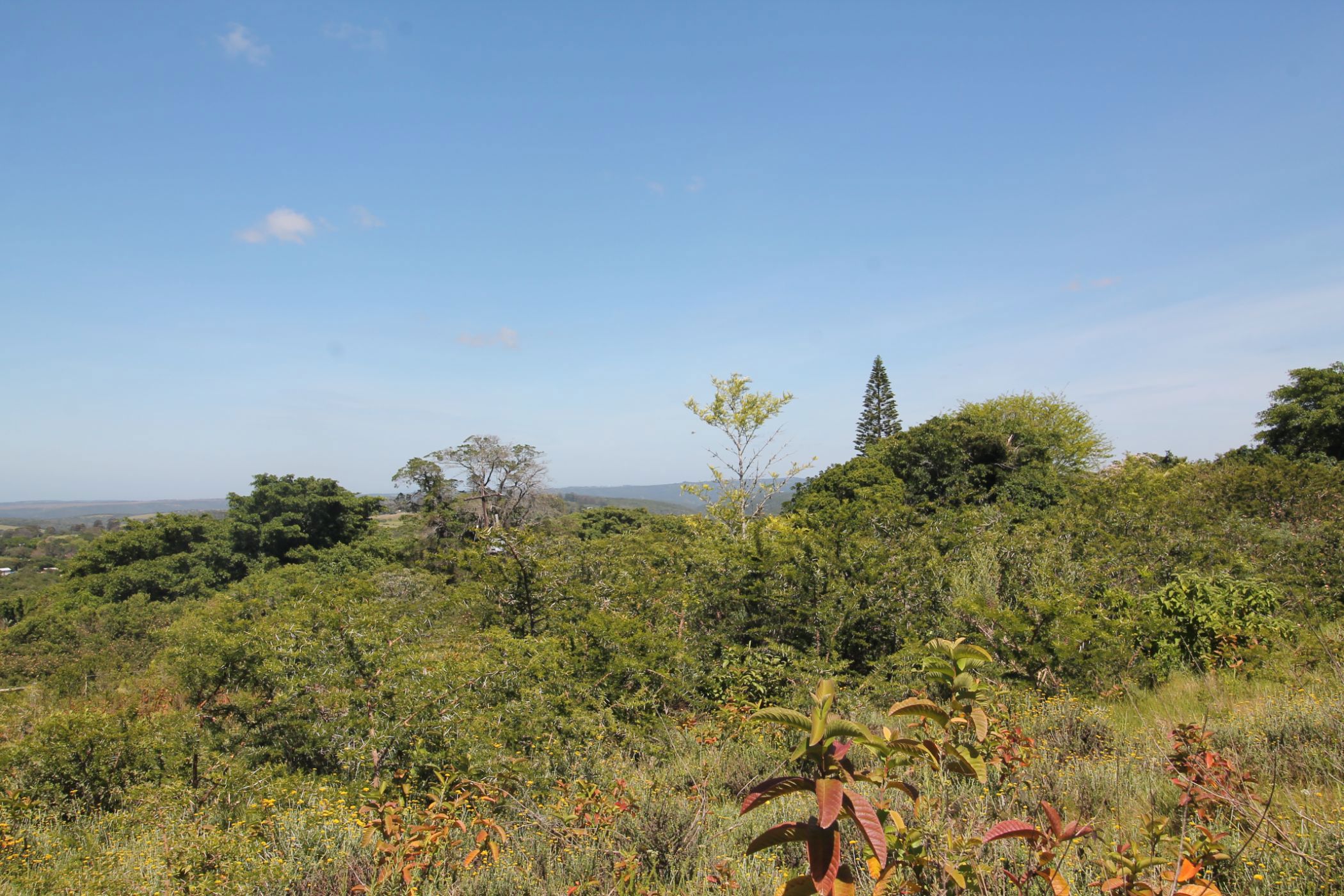 Vacant land for sale in Bathurst - 1PF1635371