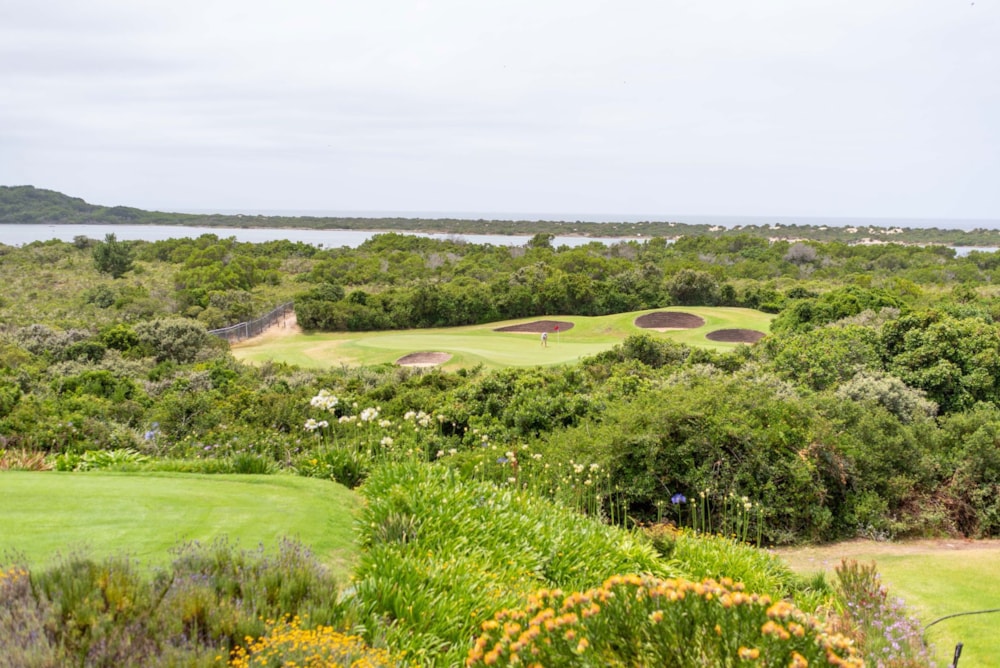 Apartment to rent in Goose Valley - 1KG1635461