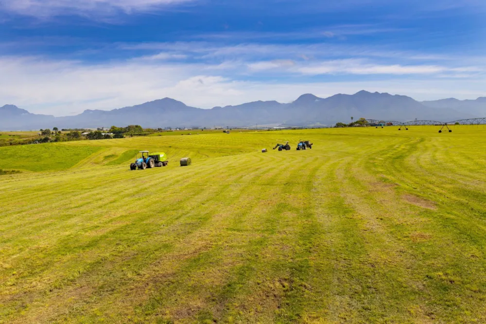 Irrigation farm for sale in George Rural - GEO1635481 Irrigation farm for sale in George Rural - GEO1635481