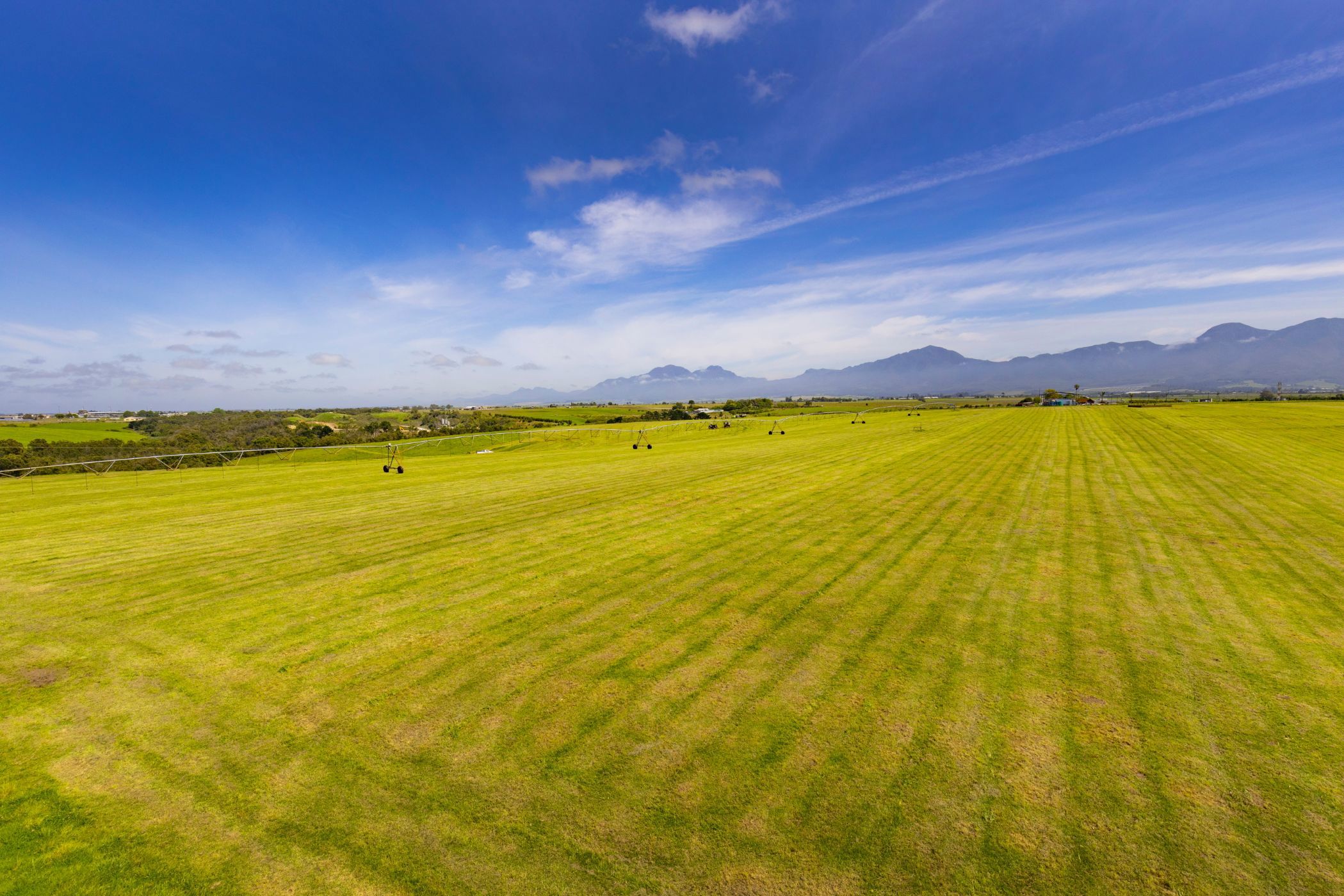 Irrigation farm for sale in George Rural - GEO1635481