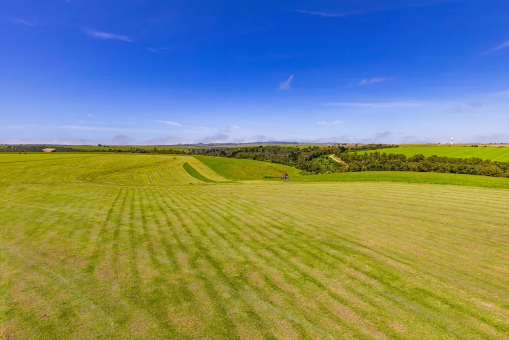 Irrigation farm for sale in George Rural - GEO1635481 Irrigation farm for sale in George Rural - GEO1635481