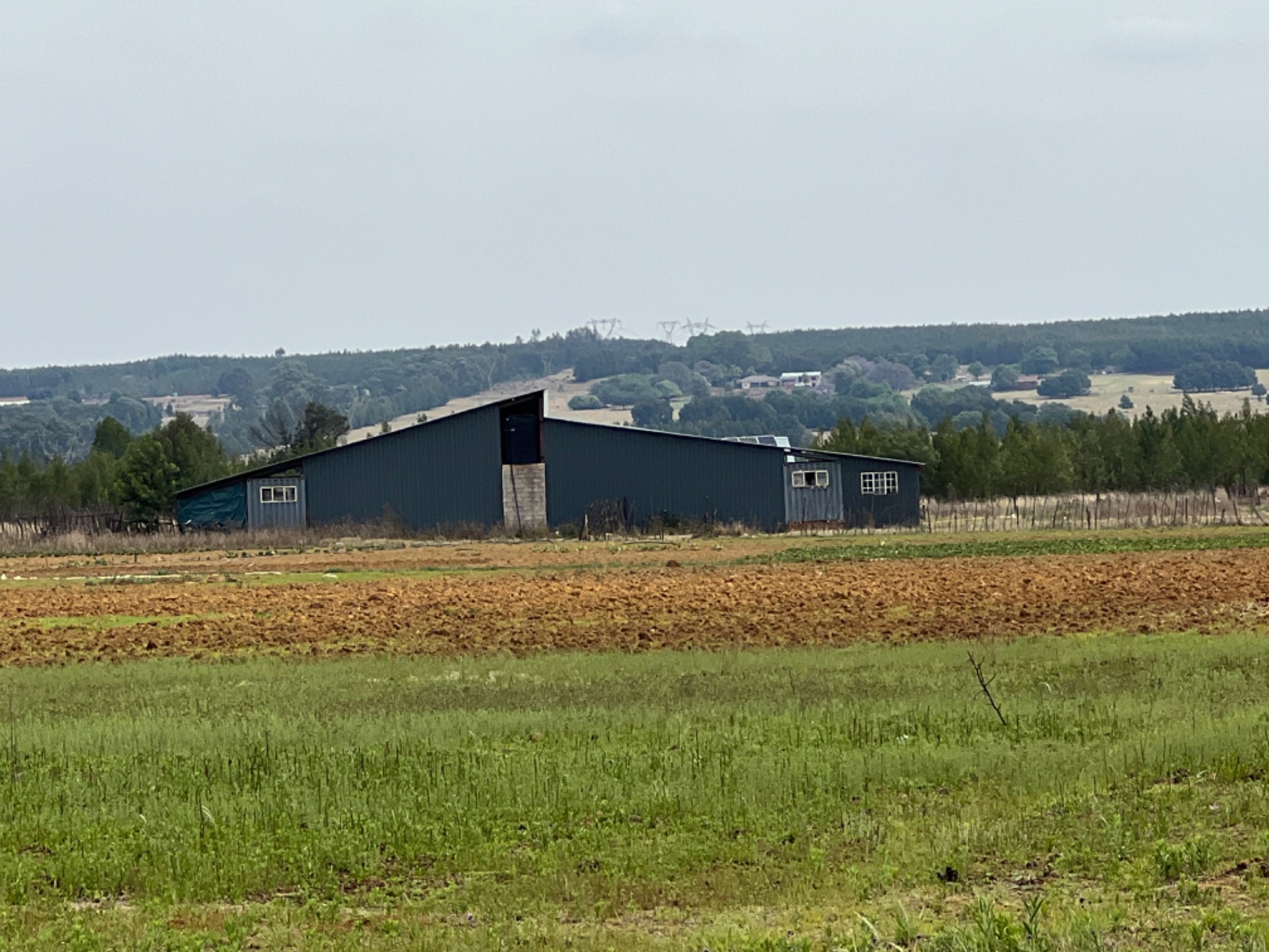 Mixed use farm for sale in Bashewa AH  - PRN1667350