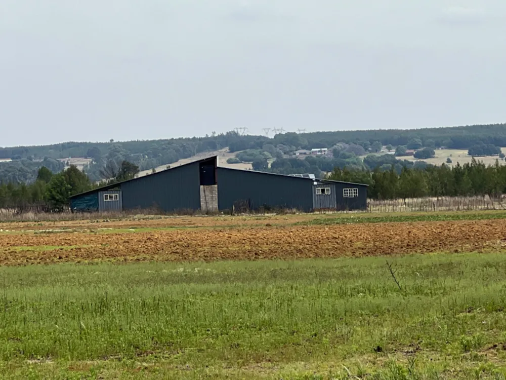 Mixed use farm for sale in Bashewa AH - PRN1667350 Mixed use farm for sale in Bashewa AH - PRN1667350