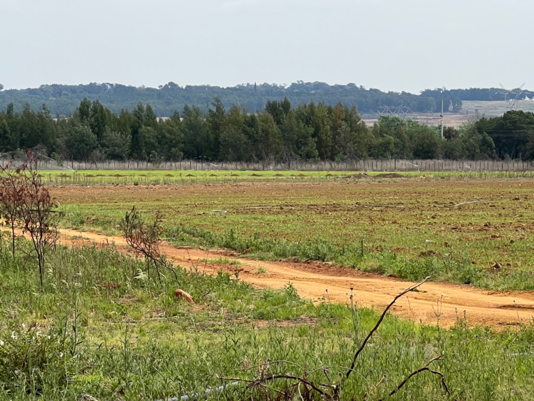 Mixed use farm for sale in Bashewa AH  - PRN1667350