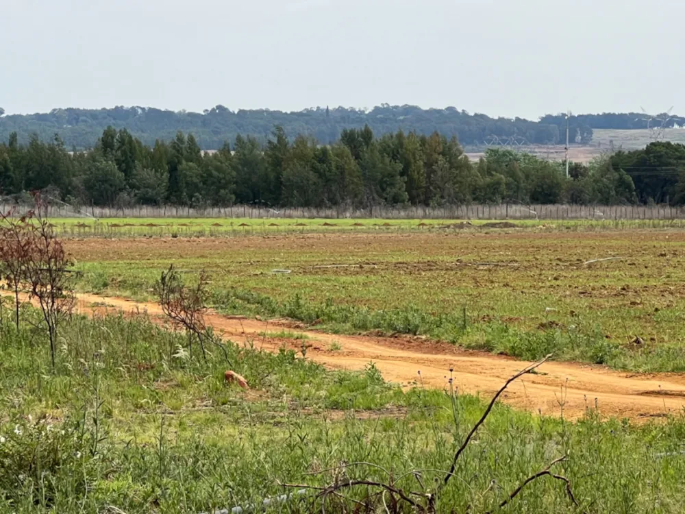 Mixed use farm for sale in Bashewa AH - PRN1667350 Mixed use farm for sale in Bashewa AH - PRN1667350