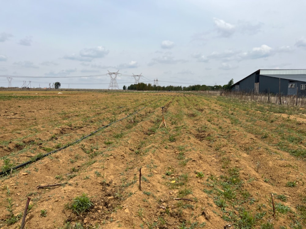 Mixed use farm for sale in Bashewa AH  - PRN1667350