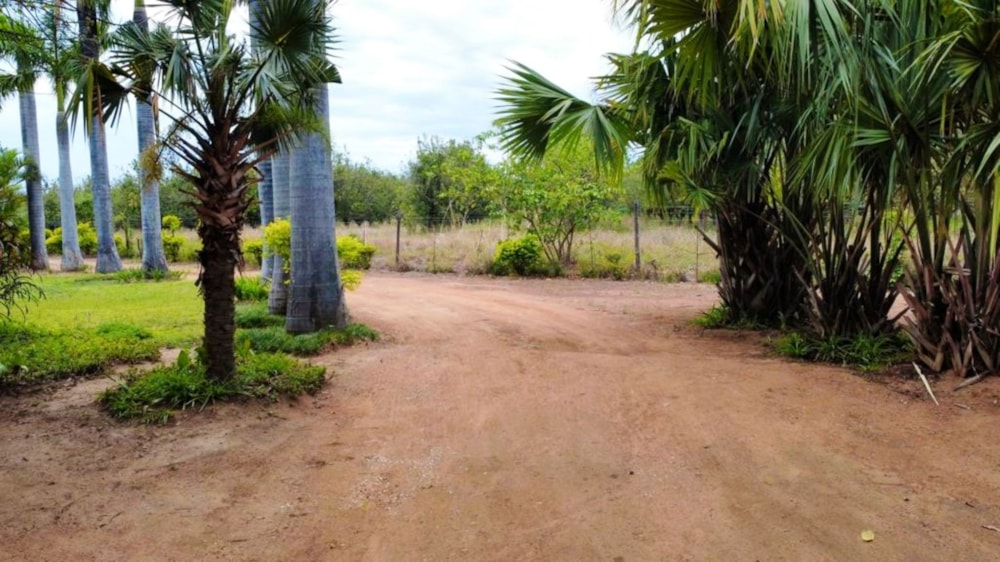 Aquaculture farm for sale in Tzaneen, Limpopo Province - 1TA1636005 Aquaculture farm for sale in Tzaneen, Limpopo Province - 1TA1636005