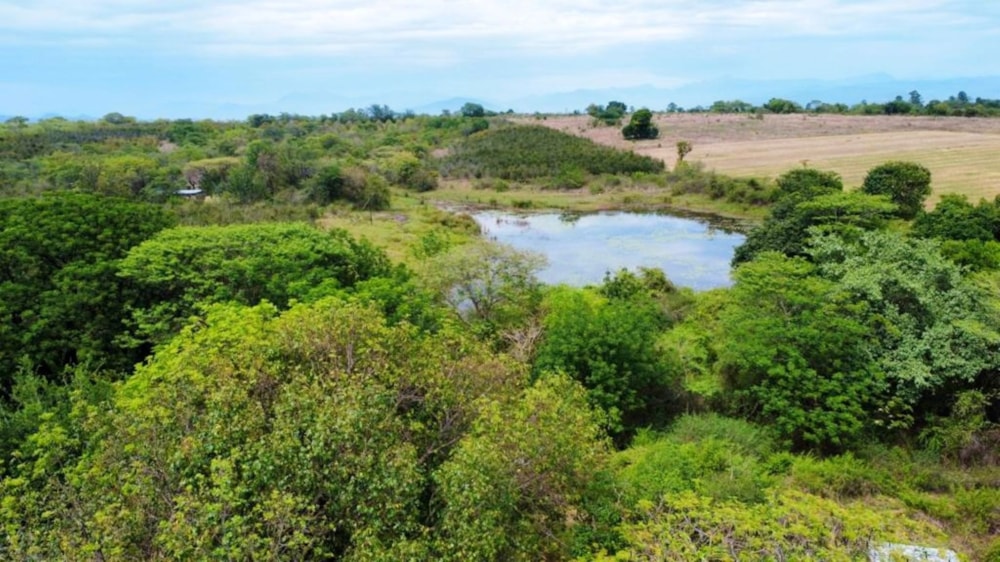 Aquaculture farm for sale in Tzaneen, Limpopo Province - 1TA1636005 Aquaculture farm for sale in Tzaneen, Limpopo Province - 1TA1636005