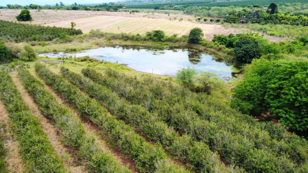 Aquaculture farm for sale in Tzaneen, Limpopo Province - 1TA1636005 Aquaculture farm for sale in Tzaneen, Limpopo Province - 1TA1636005