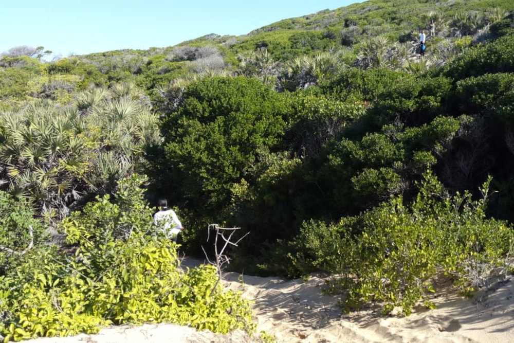 Vacant land for investment in Inharrime, Mozambique - 3MQ1636286