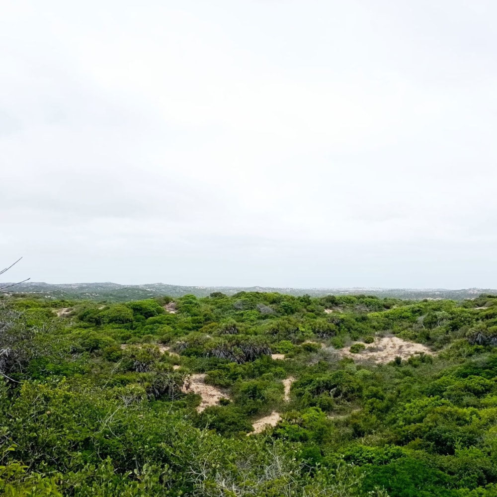 Vacant land for investment in Praia do Tofo, Mozambique - 3MQ1636652