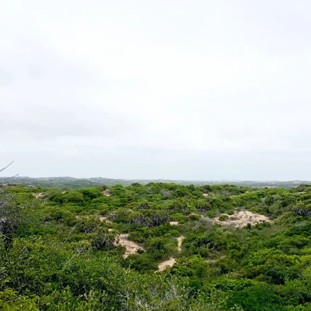 Vacant land for investment in Tofo, Mozambique - 3MQ1636652 Vacant land for investment in Tofo, Mozambique - 3MQ1636652