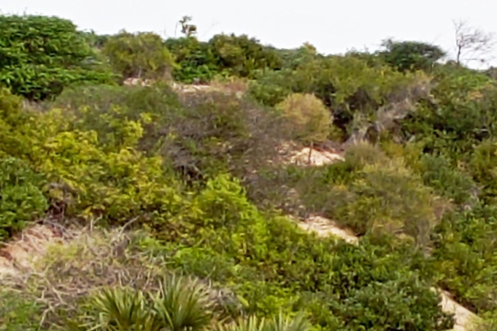 Vacant land for investment in Praia do Tofo, Mozambique - 3MQ1636652 Vacant land for investment in Praia do Tofo, Mozambique - 3MQ1636652