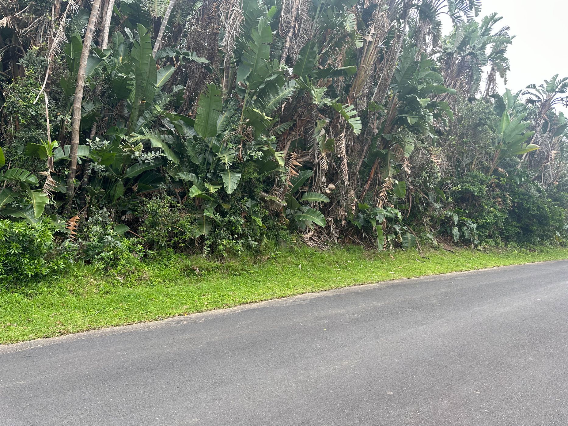 Residential vacant land for sale in Trafalgar - 1PD1636679