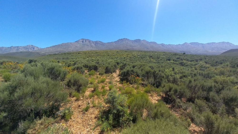 Vacant land for sale in Oudtshoorn Rural - 1OU1636893