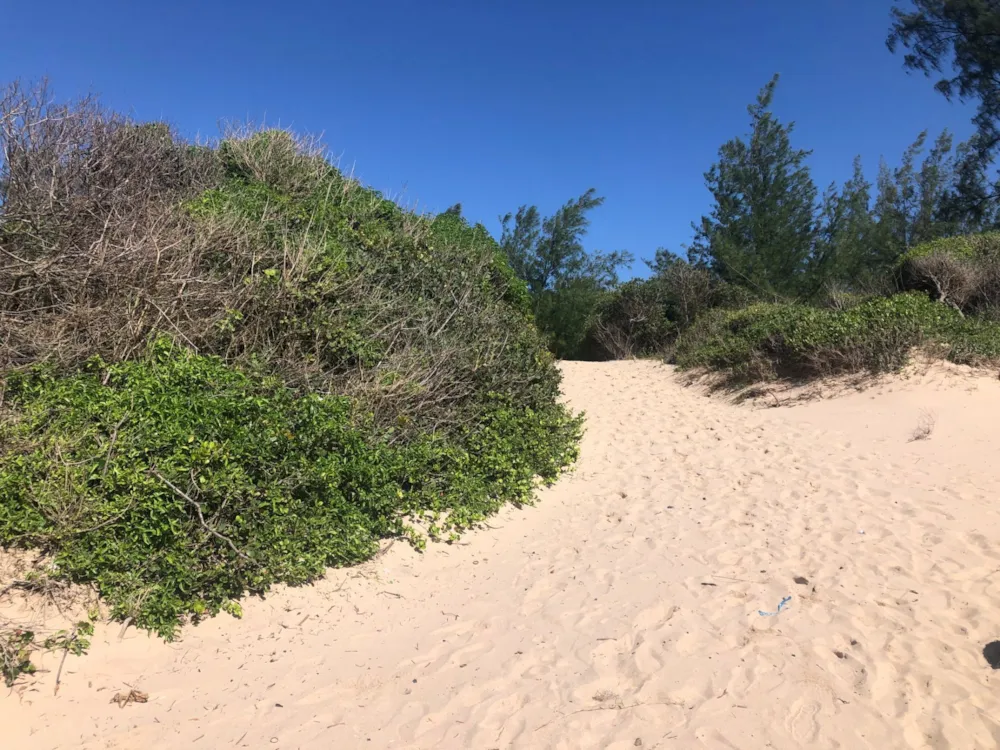 Beach resort for sale in Praia de Macaneta, Mozambique - 3MQ1637350 Beach resort for sale in Praia de Macaneta, Mozambique - 3MQ1637350