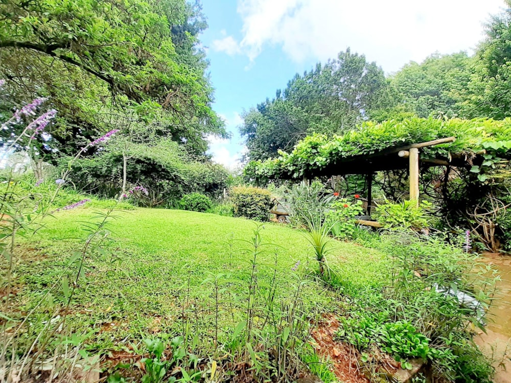 House for sale in Haenertsburg - 1TA1637781 House for sale in Haenertsburg - 1TA1637781