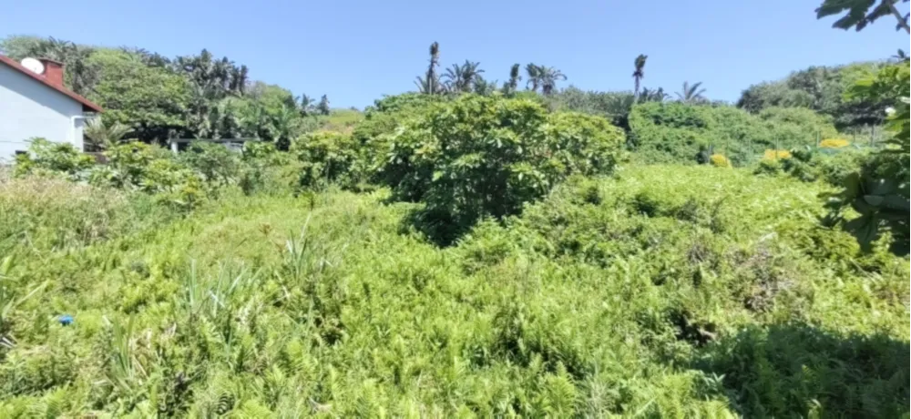 Residential vacant land for sale in Hibberdene - 1PX1637929
