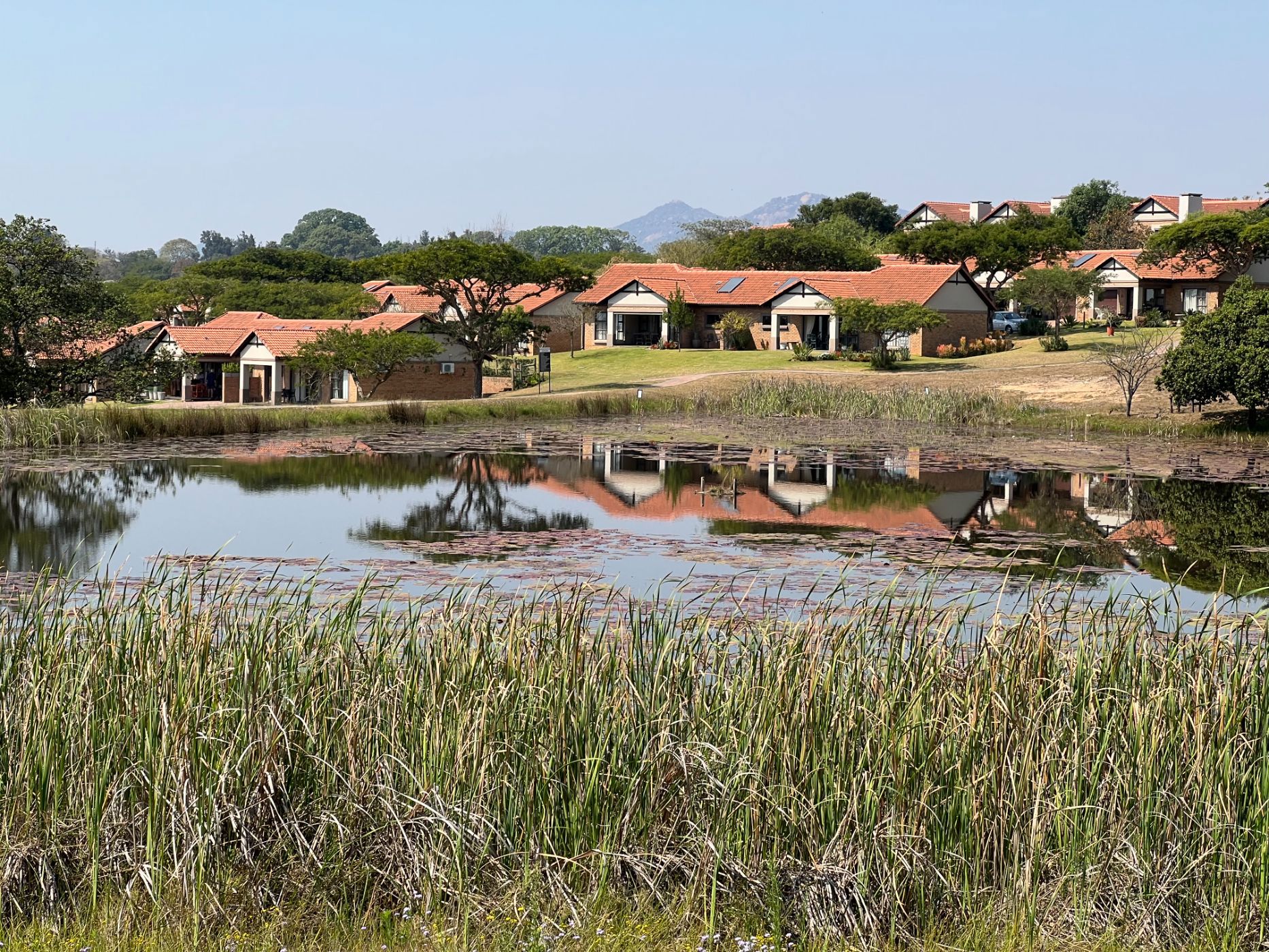 House let in Bateleur Estate - 1NS1701888