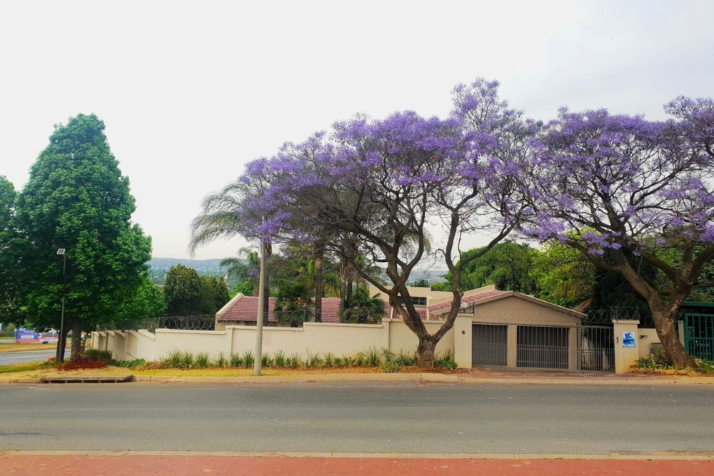 House let in Weltevredenpark - RAL1689503 House let in Weltevredenpark - RAL1689503