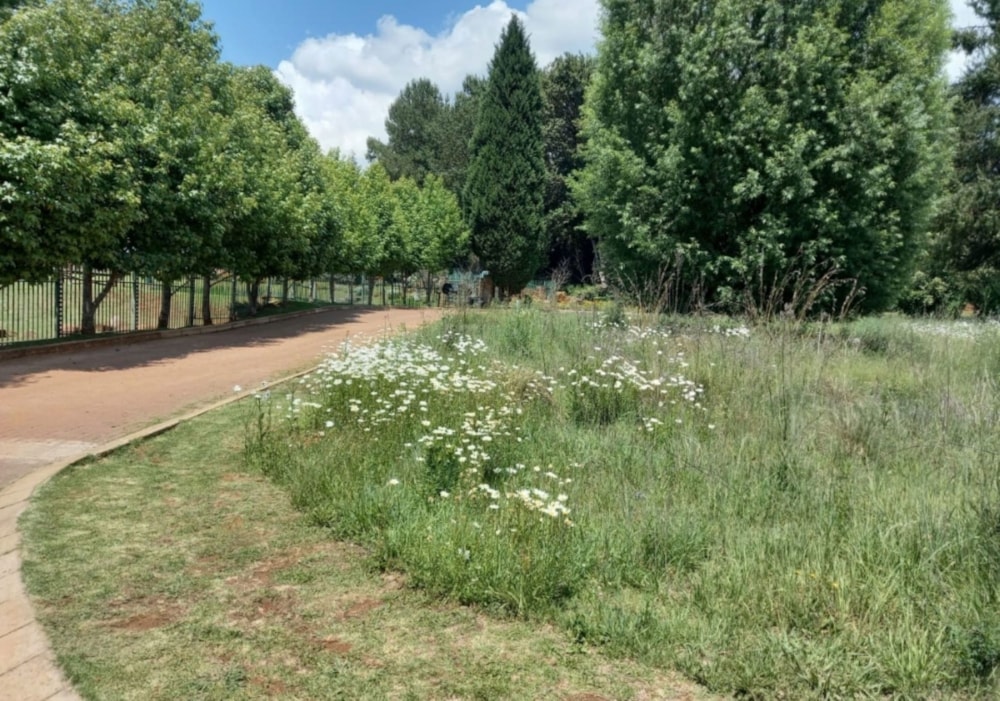 Vacant land for sale in Dullstroom - 1DS1746712