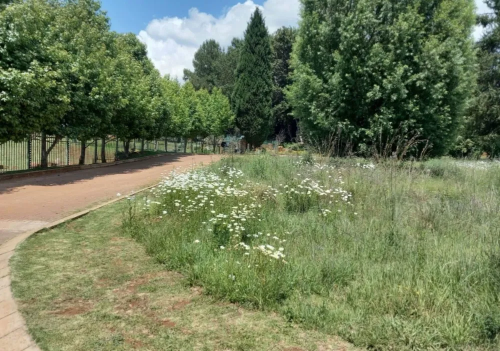 Vacant land sold in Dullstroom - 1DS1746712 Vacant land sold in Dullstroom - 1DS1746712