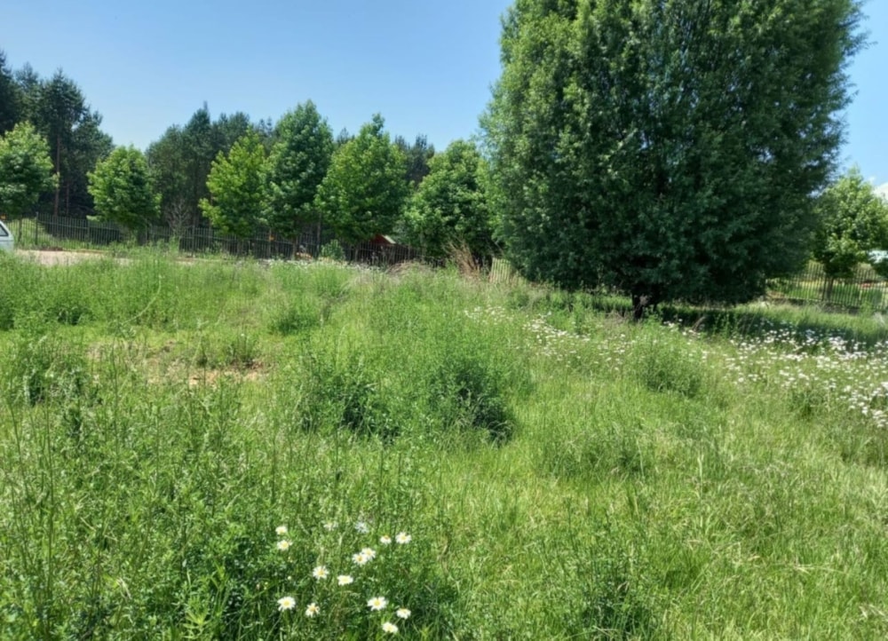 Vacant land for sale in Dullstroom - 1DS1746712