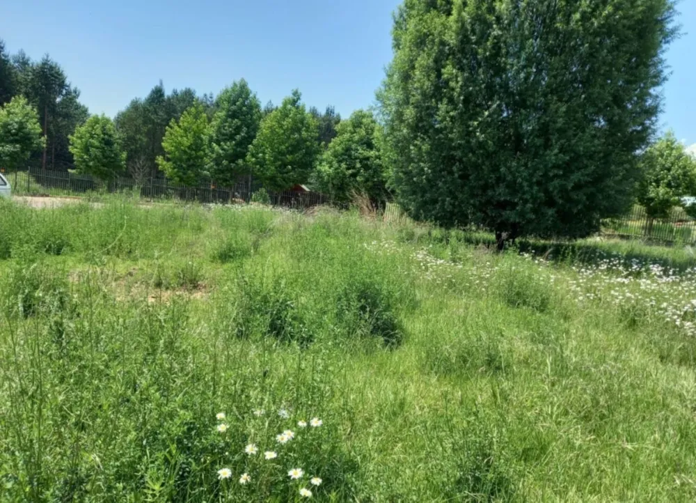 Vacant land sold in Dullstroom - 1DS1746712 Vacant land sold in Dullstroom - 1DS1746712
