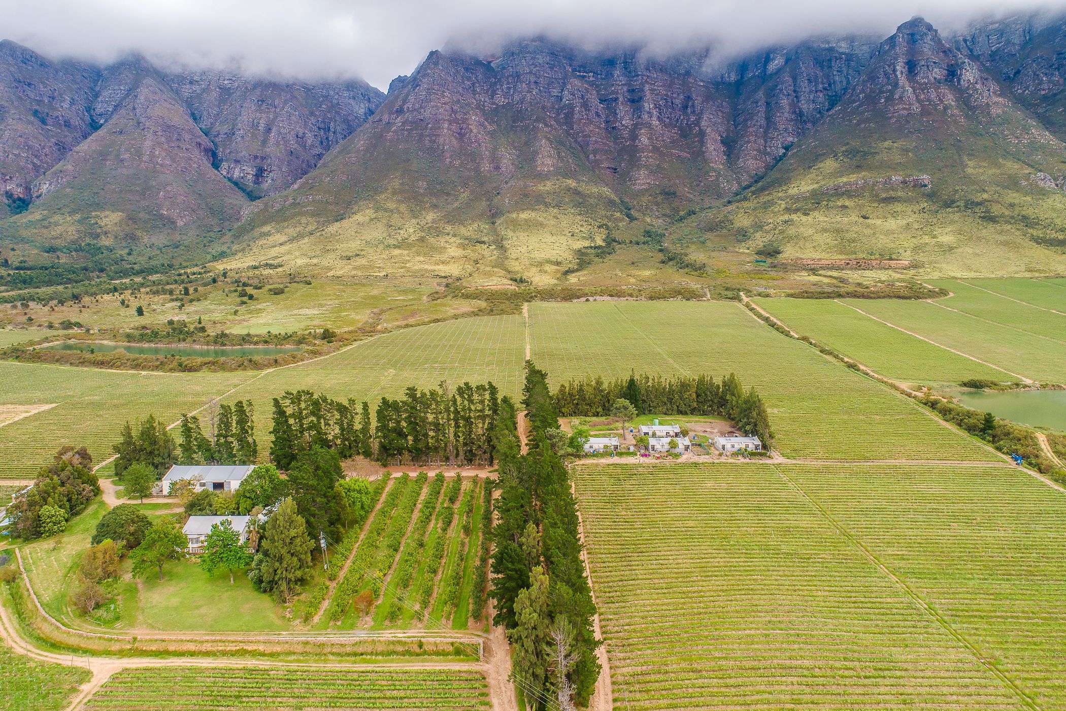 Fruit farm for sale in Worcester Rural - TK1638196