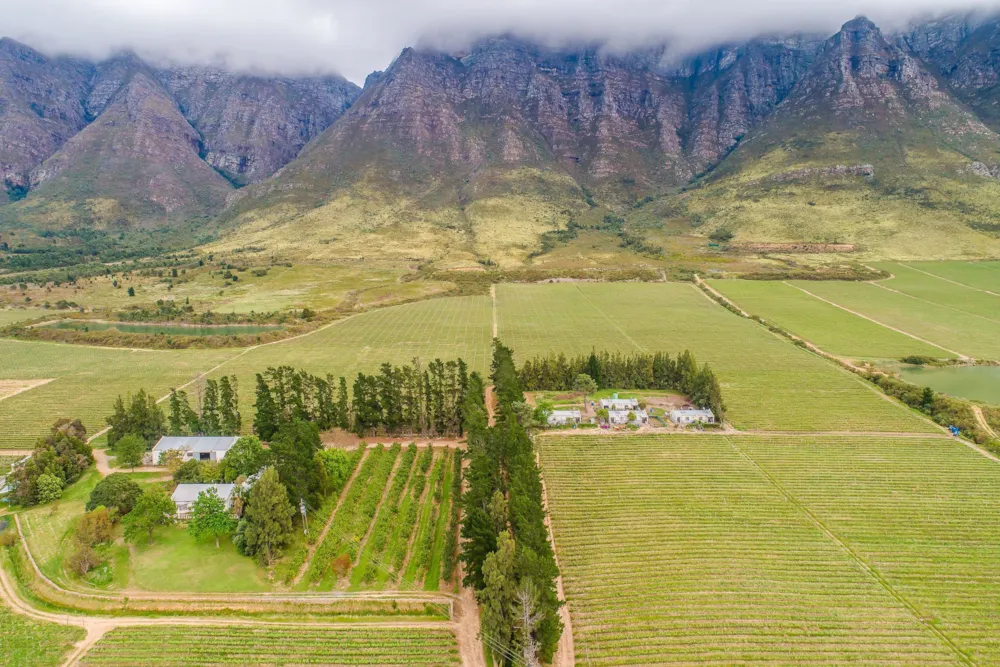 Fruit farm for sale in Worcester Rural - TK1638196 Fruit farm for sale in Worcester Rural - TK1638196