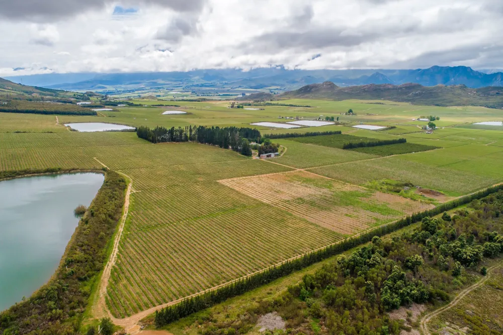 Fruit farm for sale in Worcester Rural - TK1638196 Fruit farm for sale in Worcester Rural - TK1638196