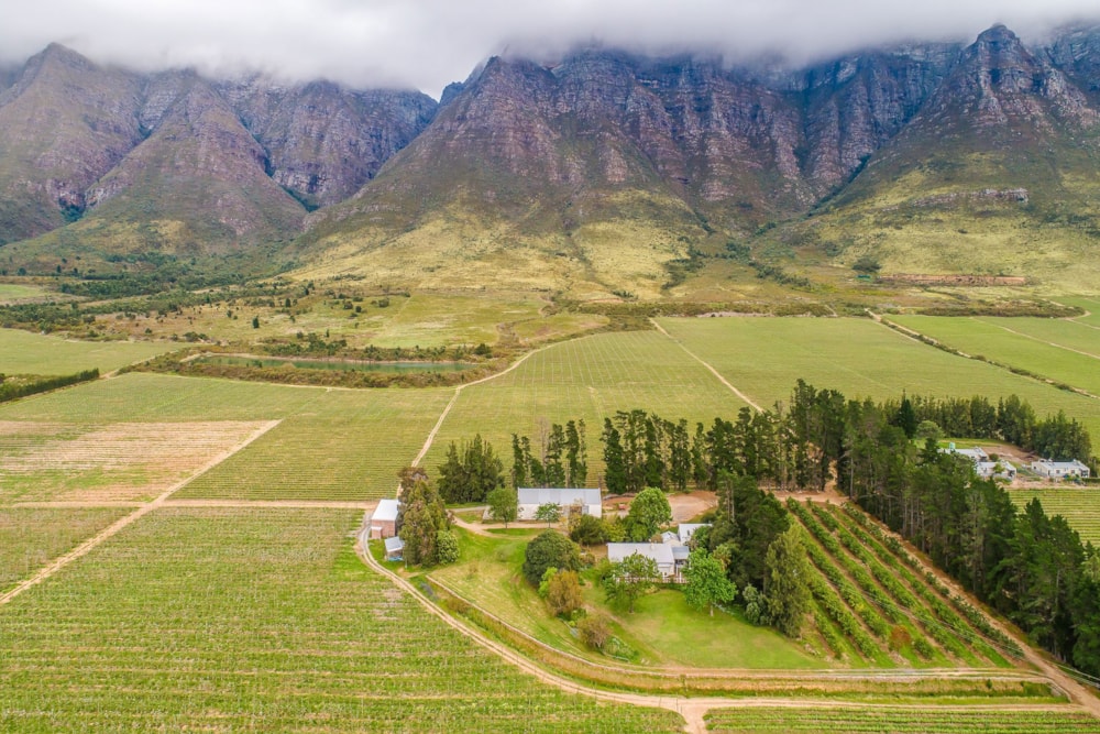 Fruit farm for sale in Worcester Rural - TK1638196