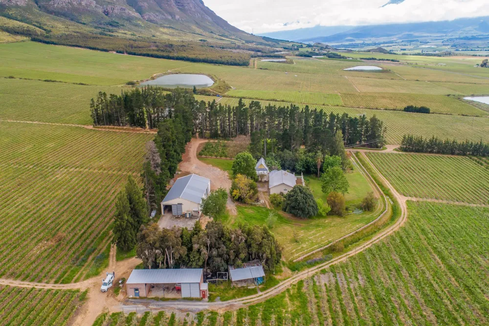 Fruit farm for sale in Worcester Rural - TK1638196 Fruit farm for sale in Worcester Rural - TK1638196