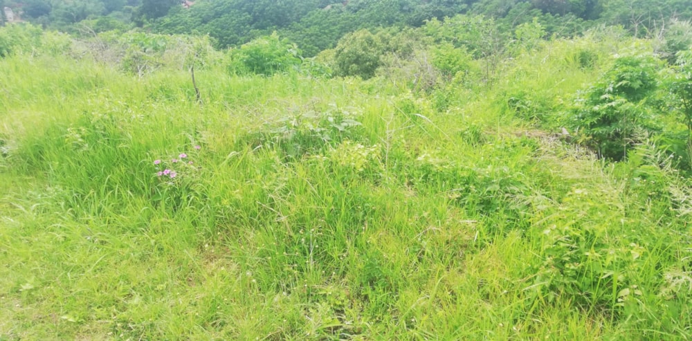 Vacant land for sale in Marburg - 1PX1638261 Vacant land for sale in Marburg - 1PX1638261