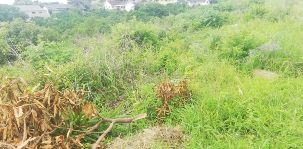 Vacant land for sale in Marburg - 1PX1638261 Vacant land for sale in Marburg - 1PX1638261