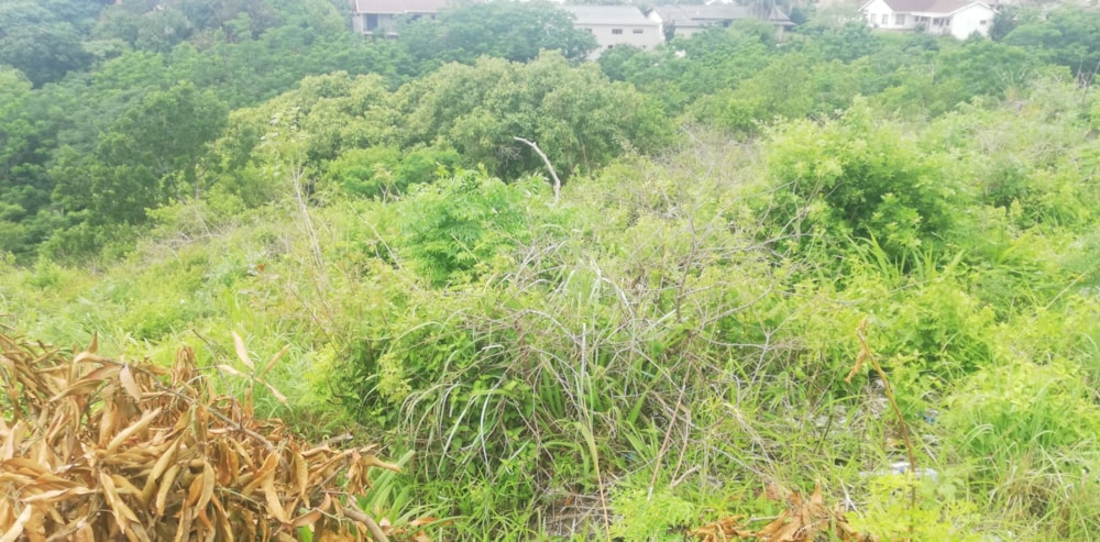 Vacant land for sale in Marburg - 1PX1638261 Vacant land for sale in Marburg - 1PX1638261