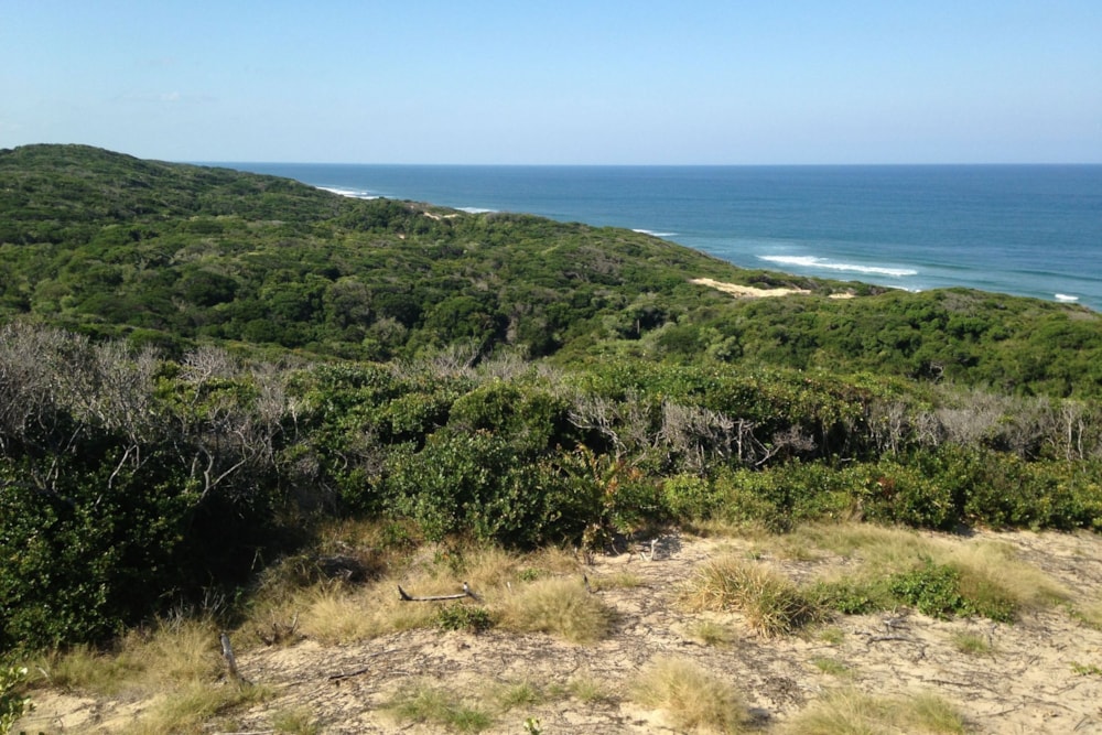 Vacant land for investment in Chidenguele, Gaza, Mozambique - 3MQ1638586