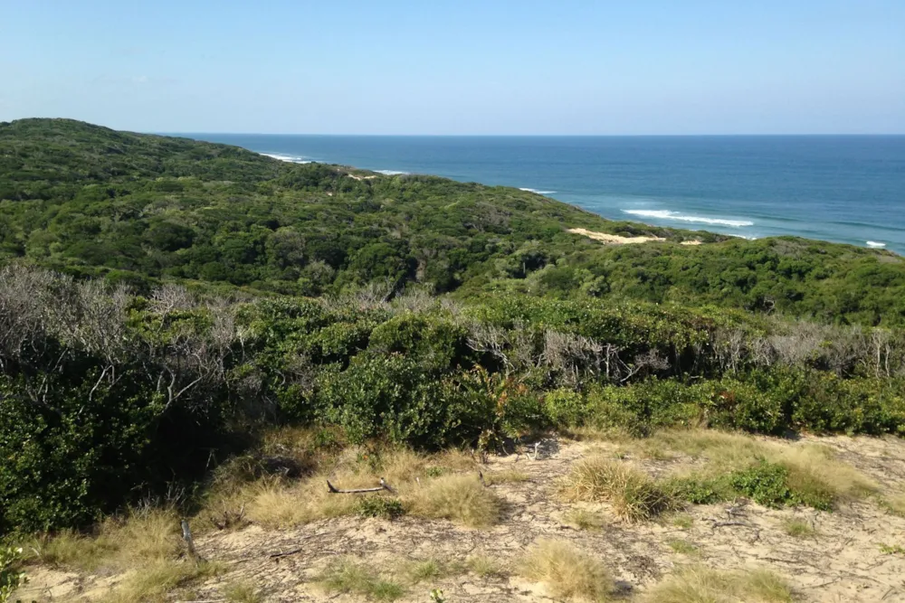 Vacant land for investment in Chidenguele, Gaza, Mozambique - 3MQ1638586 Vacant land for investment in Chidenguele, Gaza, Mozambique - 3MQ1638586