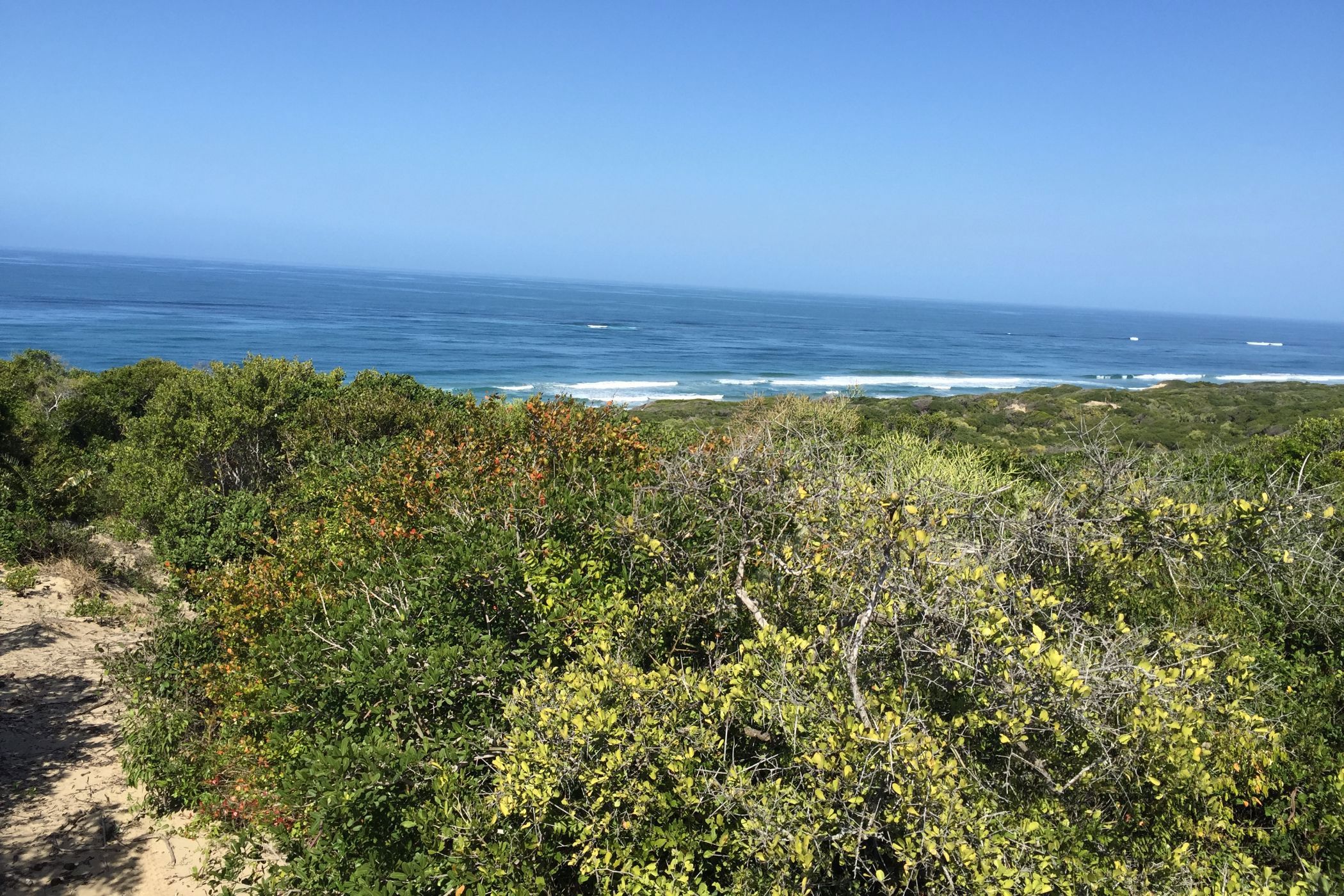 Vacant land for investment in Chidenguele, Gaza, Mozambique - 3MQ1638586