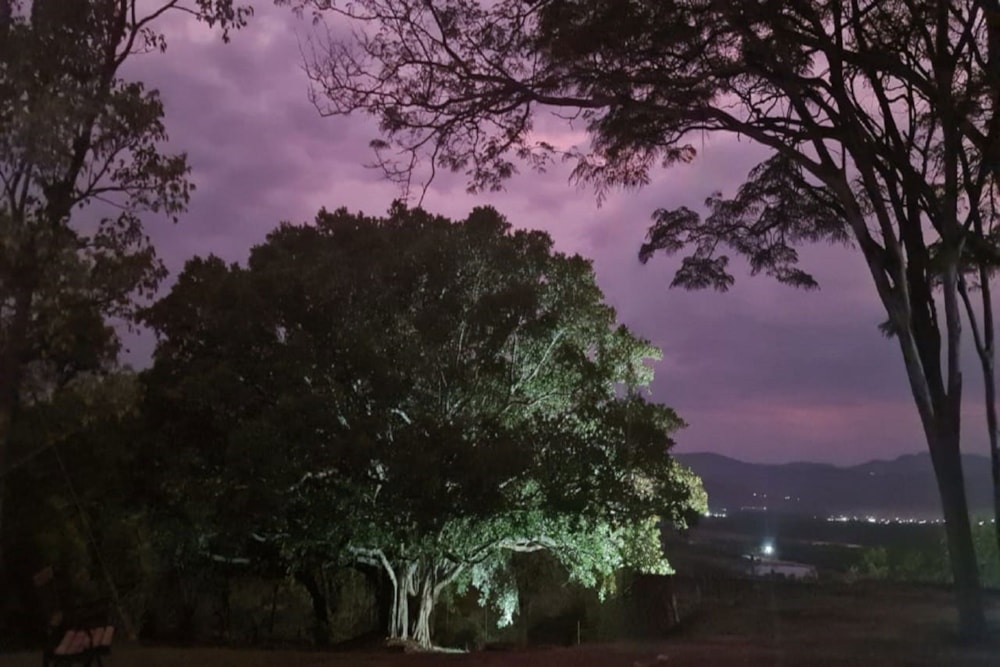 Lifestyle property for sale in Tzaneen, Limpopo Province - 1TA1638610