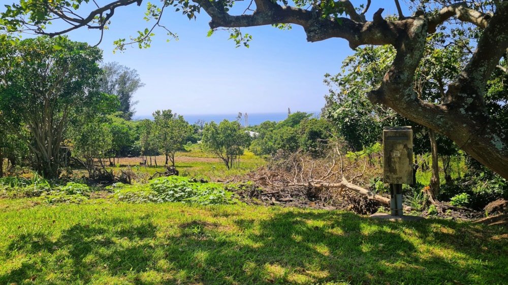 Vacant land for sale in Port Edward - 1PD1298579