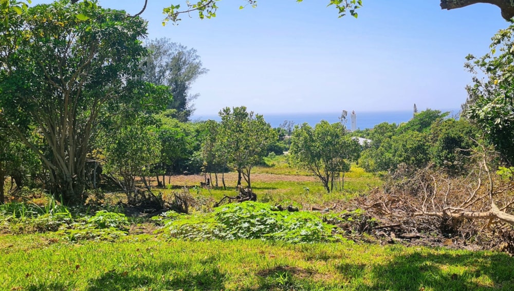 Vacant land for sale in Port Edward - 1PD1298579