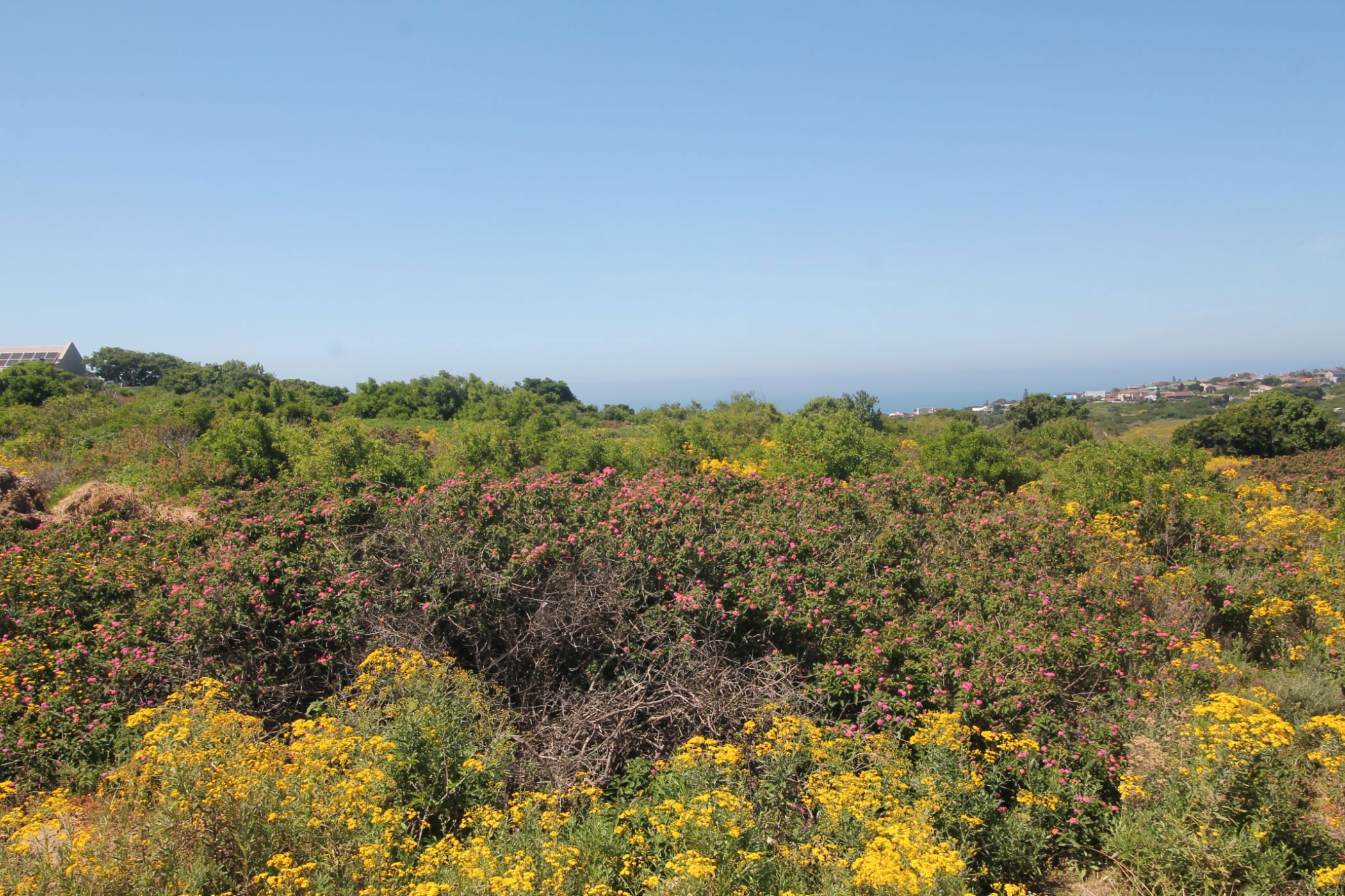 Vacant land for sale in Port Alfred - 1PF1639742