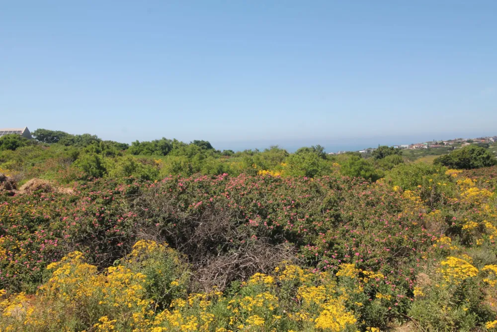 Vacant land sold in Port Alfred - 1PF1639742