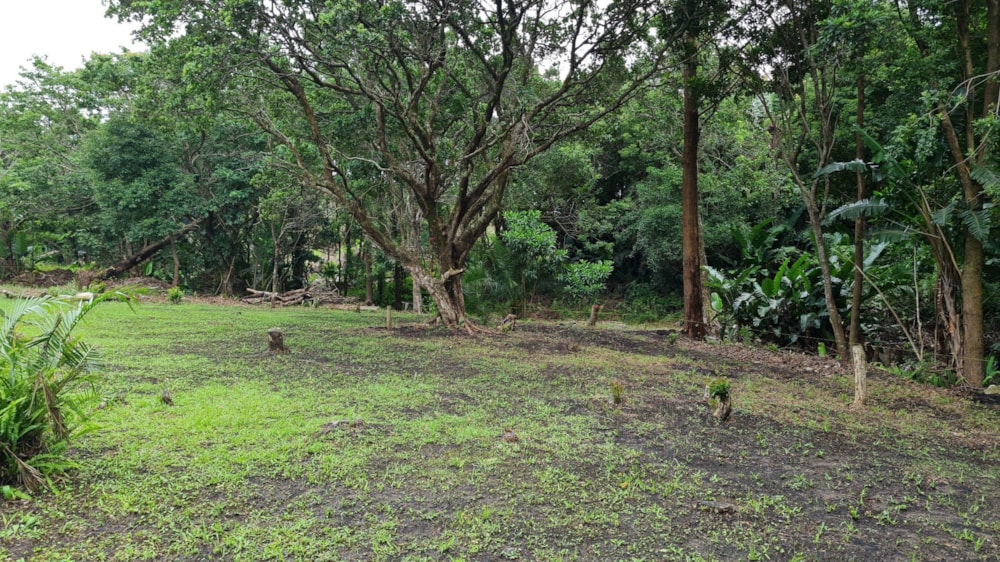 Residential vacant land for sale in Leisure Bay - 1PD1640795 Residential vacant land for sale in Leisure Bay - 1PD1640795