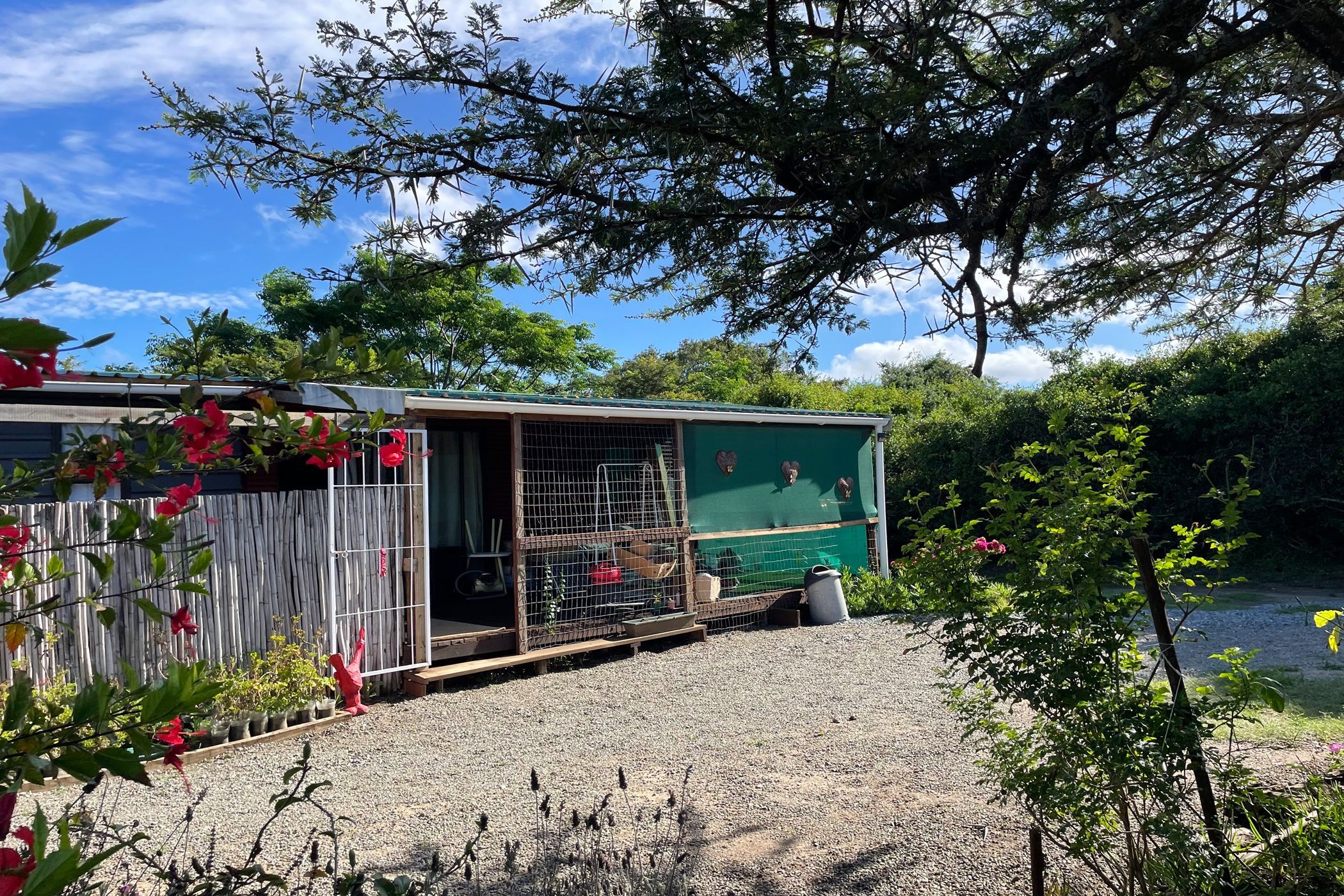 Bachelor apartment let in Bathurst - 1PF1702785