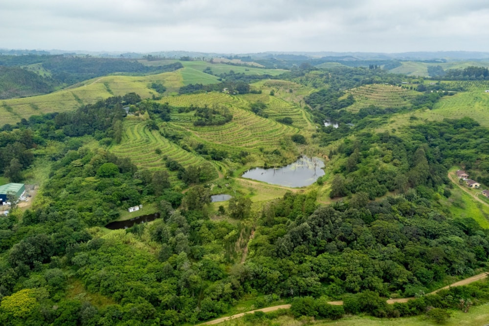 Nut farm for sale in Umtentweni - 1PX1637133